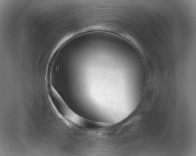 X0000080660902200612151128
