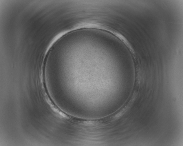 X0000080660904200612151128