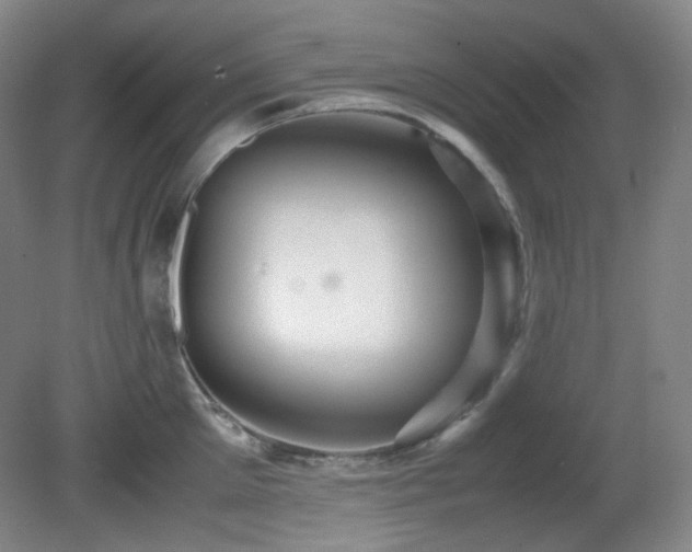 X0000080660905200612151128