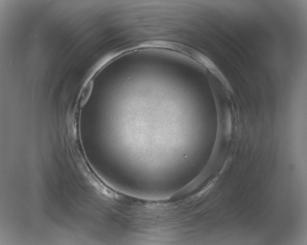X0000080660908200612151128