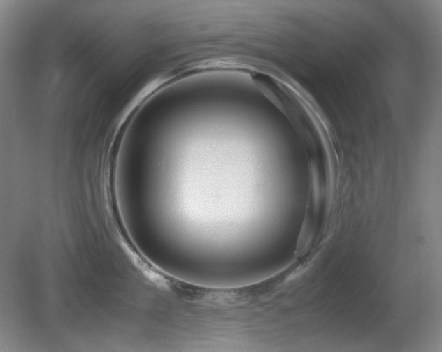 X0000080660909200612151128