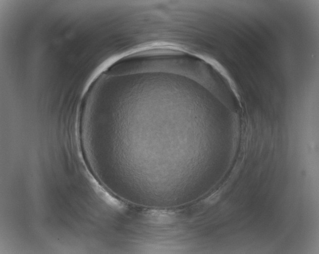 X0000080660910200612151128