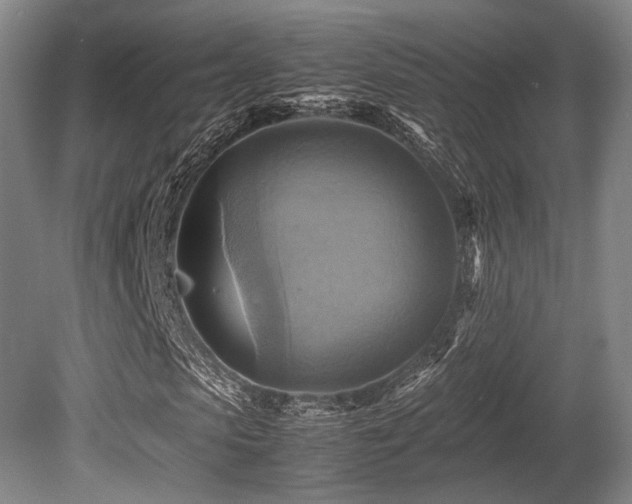 X0000080660913200612151127