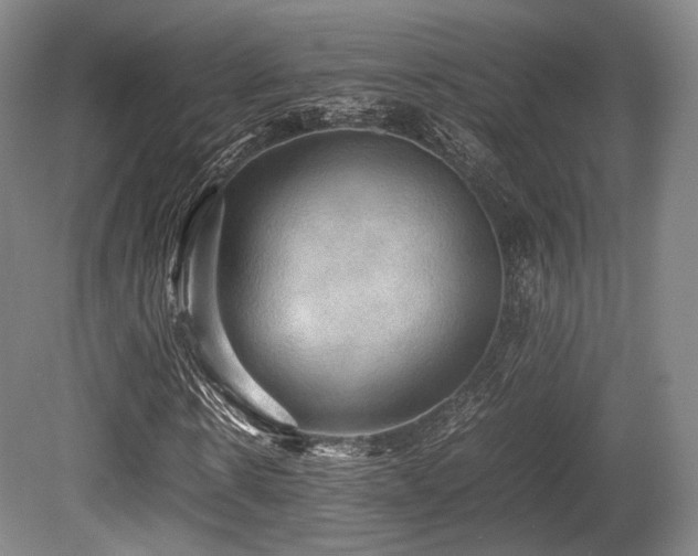 X0000080660914200612151127