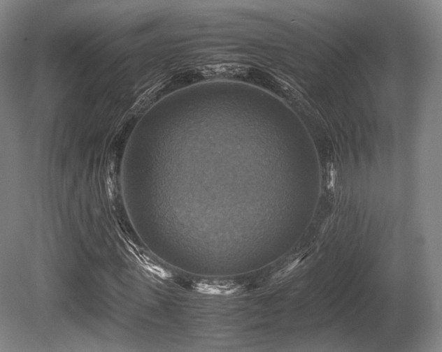 X0000080660915200612151127