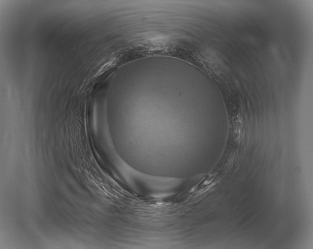 X0000080660916200612151127