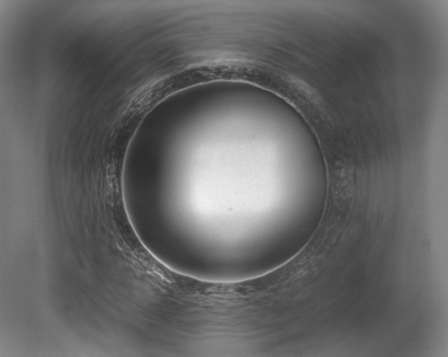 X0000080660918200612151127