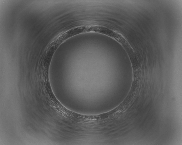 X0000080660919200612151127