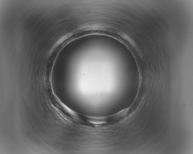 X0000080660922200612151127