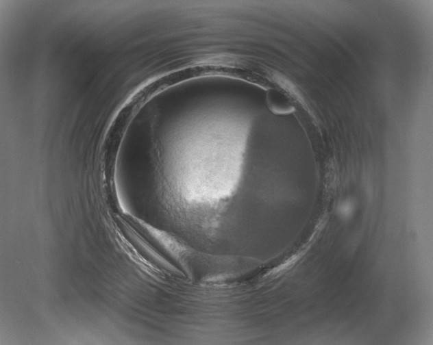X0000080660923200612151127