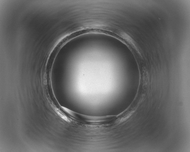 X0000080660924200612151127