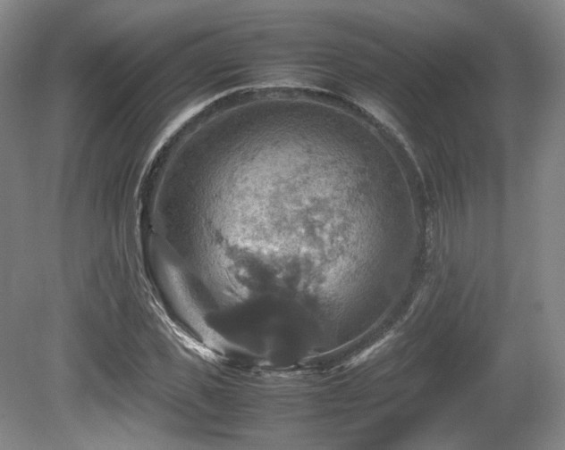 X0000080660925200612151127