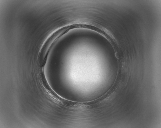 X0000080660926200612151127