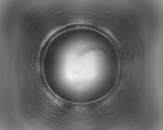 X0000080660927200612151127