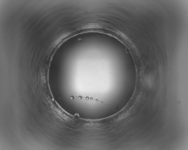 X0000080660929200612151127