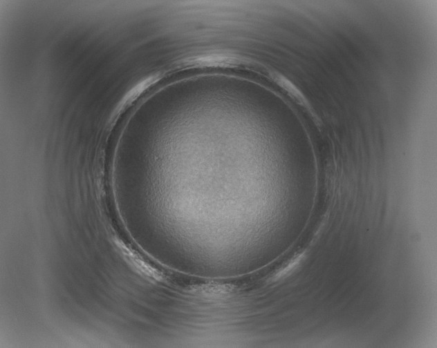 X0000080660930200612151127