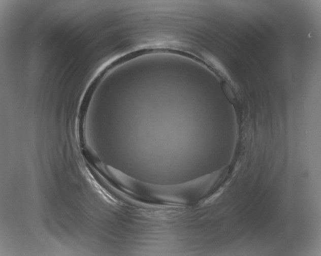 X0000080660932200612151127