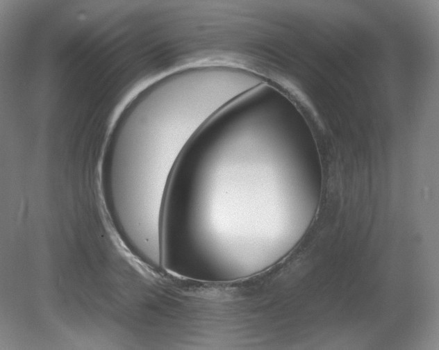 X0000080660936200612151127