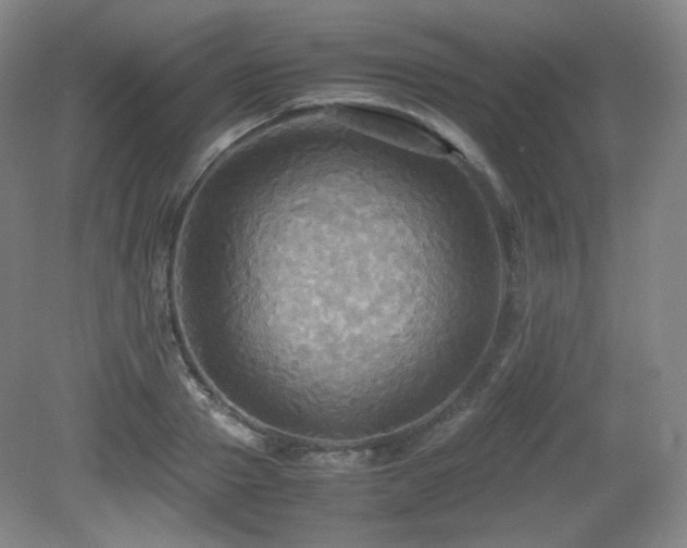 X0000080660937200612151127