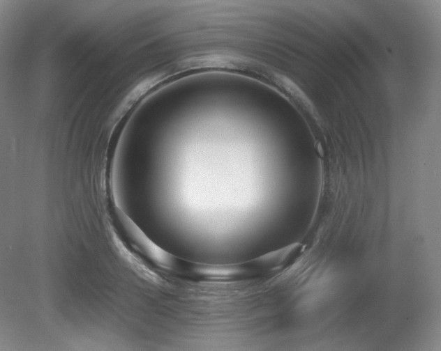 X0000080660938200612151127