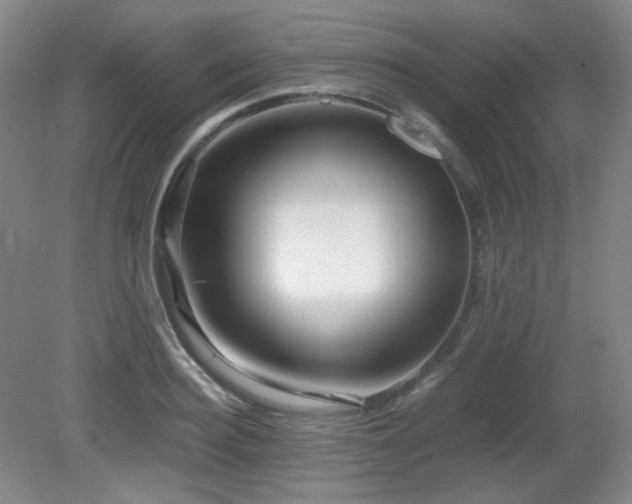 X0000080660940200612151127