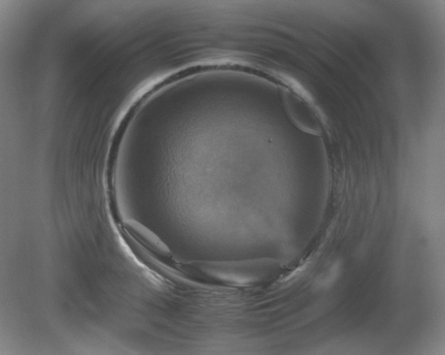 X0000080660943200612151127