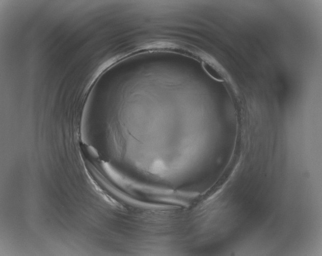 X0000080660945200612151127