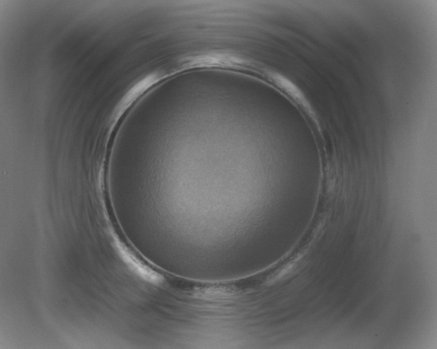 X0000080660946200612151127