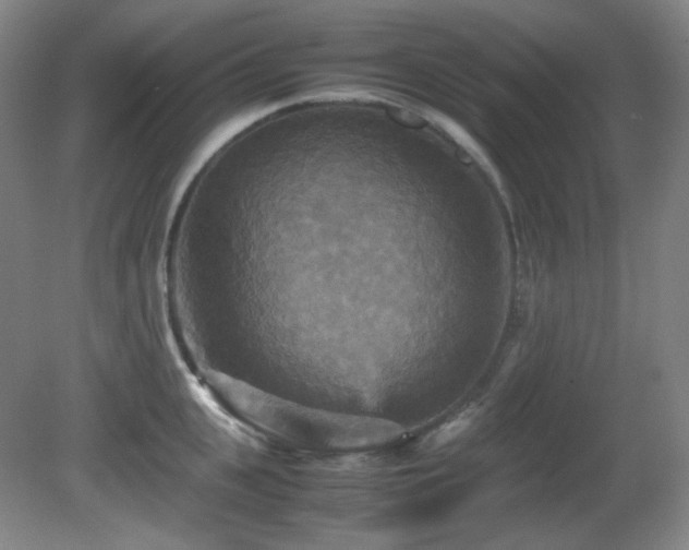 X0000080660951200612151127