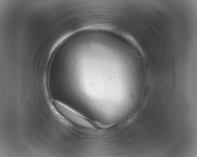 X0000080660952200612151128