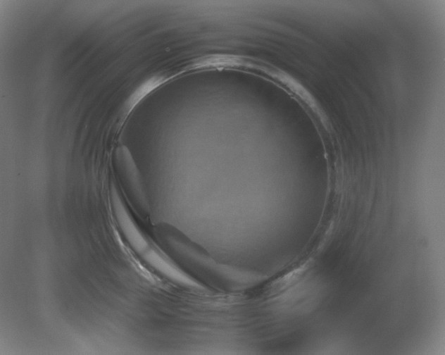 X0000080660953200612151128