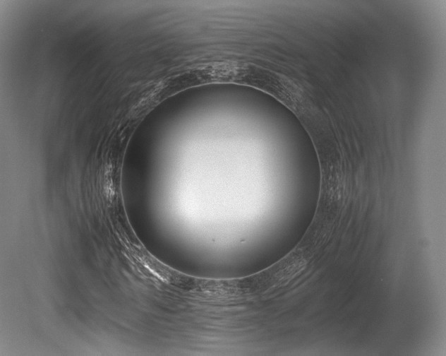 X0000080660962200612151127