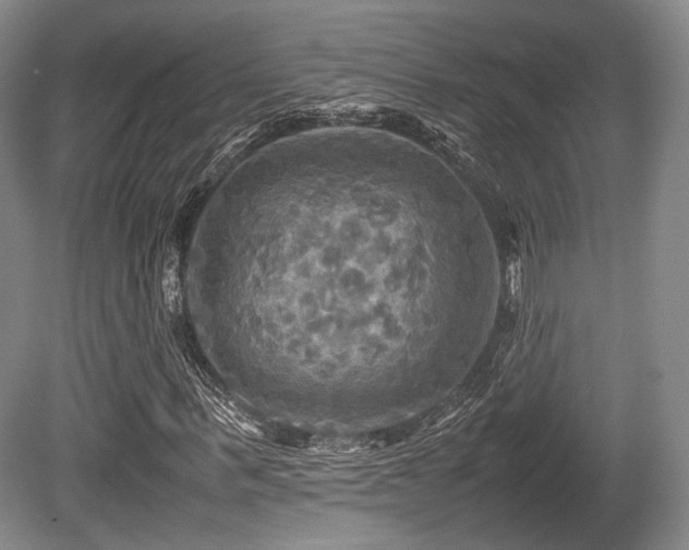 X0000080660963200612151127