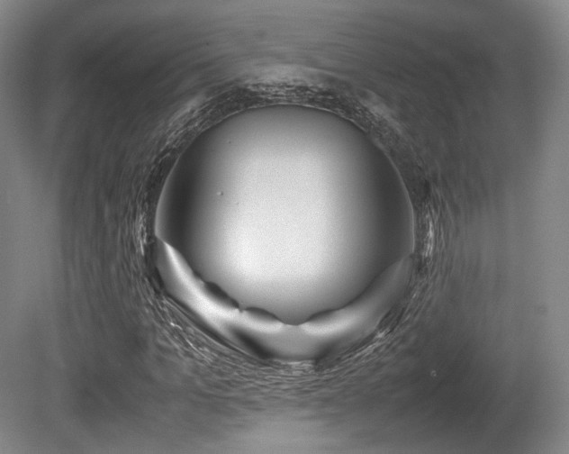 X0000080660965200612151127