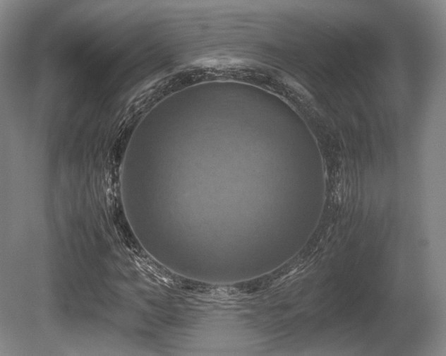 X0000080660966200612151127
