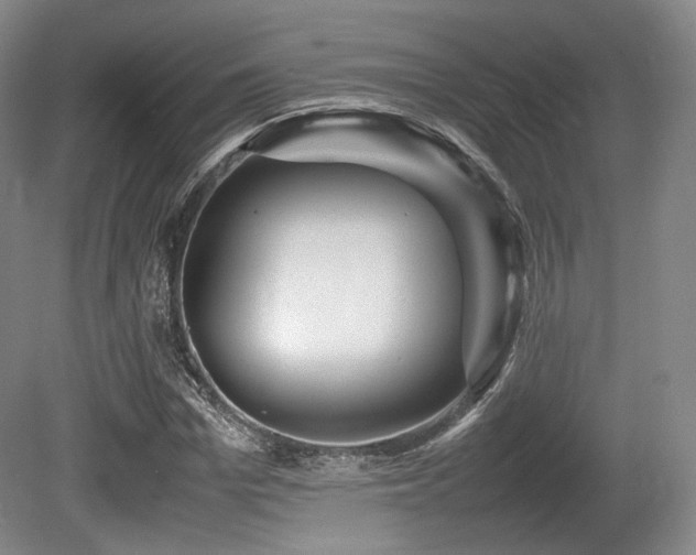 X0000080660969200612151127