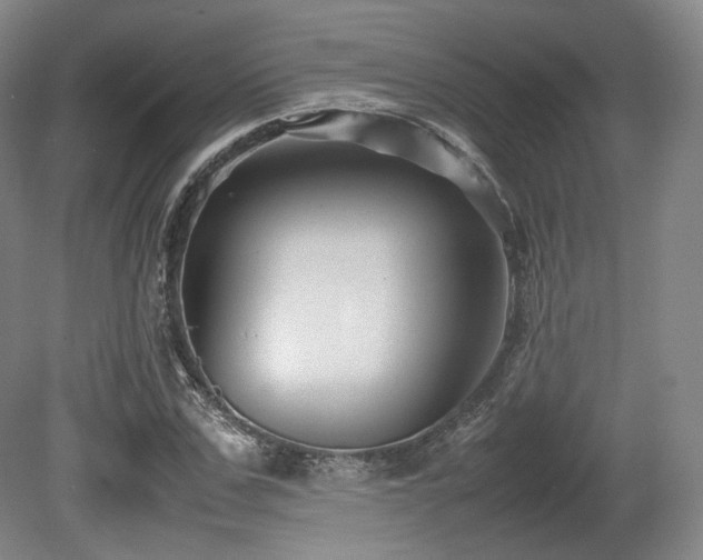 X0000080660971200612151127