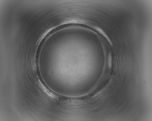 X0000080660972200612151127