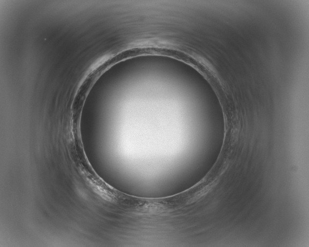 X0000080660974200612151127