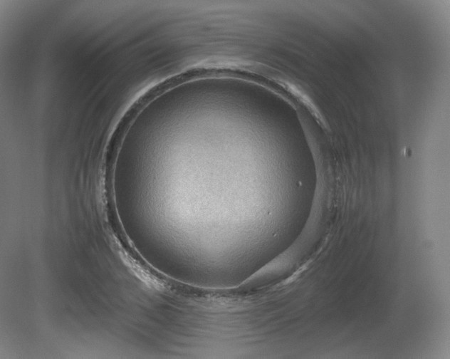 X0000080660976200612151127