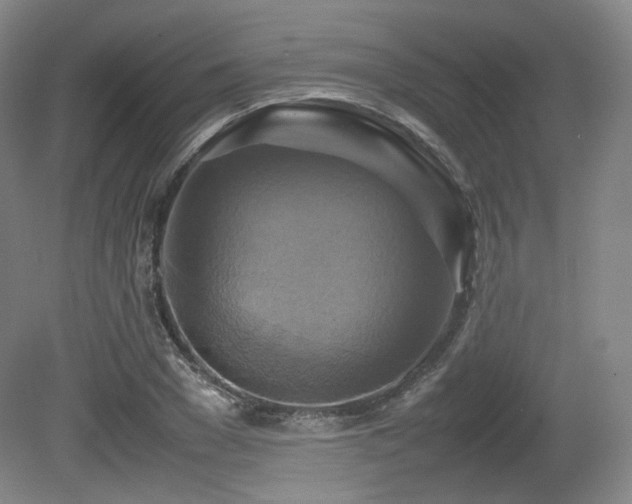 X0000080660977200612151127