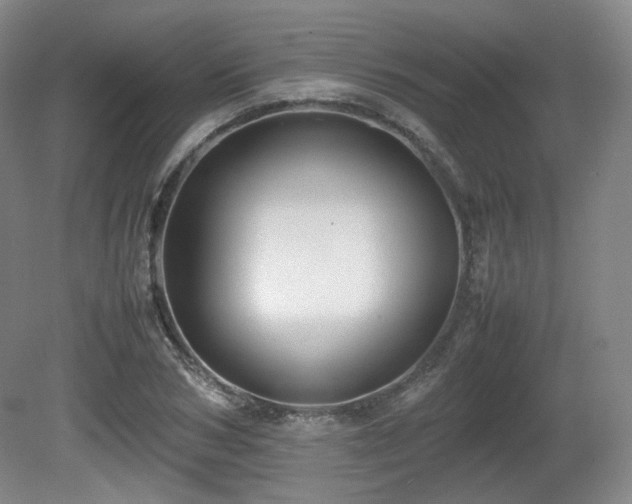 X0000080660978200612151127