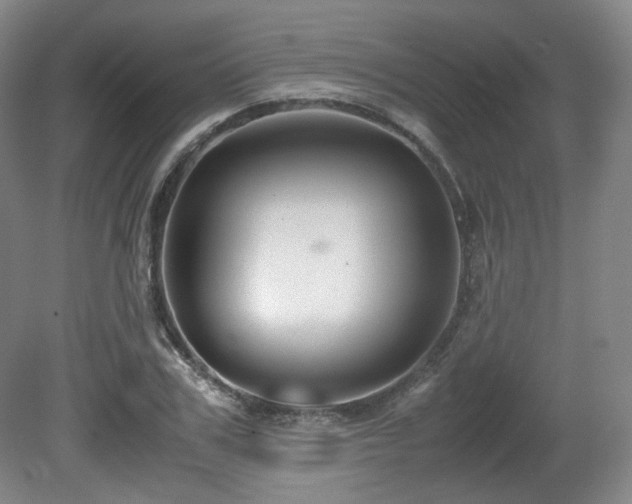 X0000080660979200612151127