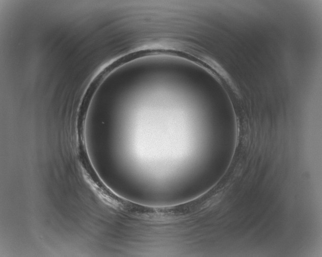 X0000080660980200612151127