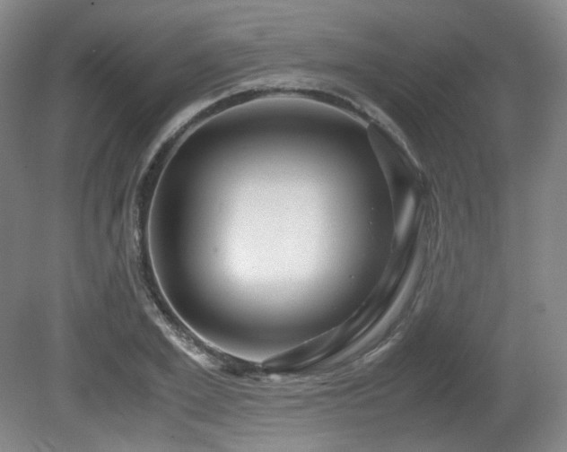 X0000080660981200612151127