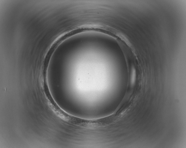 X0000080660984200612151126