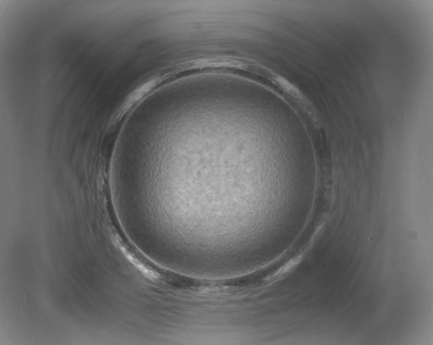X0000080660985200612151126