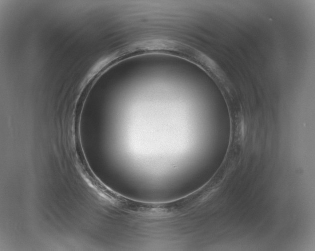 X0000080660986200612151126
