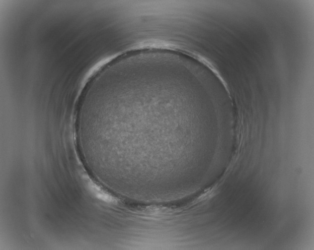 X0000080660987200612151126