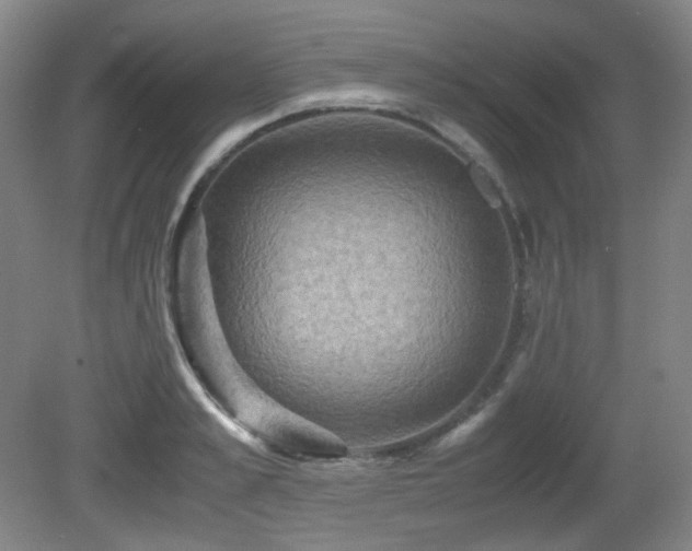 X0000080660989200612151126